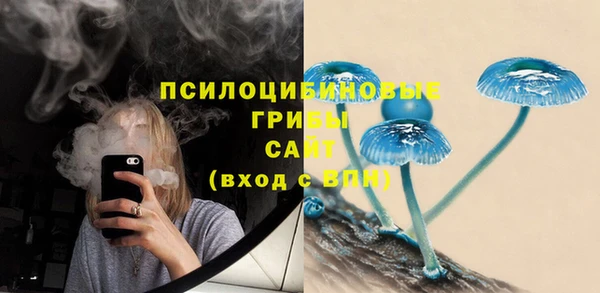 a pvp Сатка