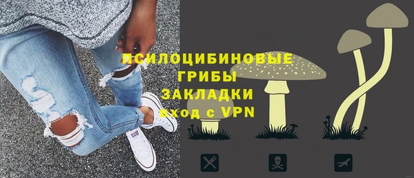 тгк Саяногорск