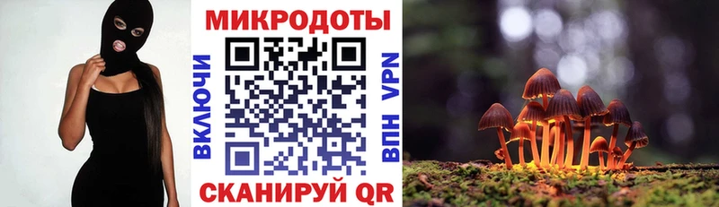 Галлюциногенные грибы Psilocybine cubensis  гидра онион  Болхов  где найти  